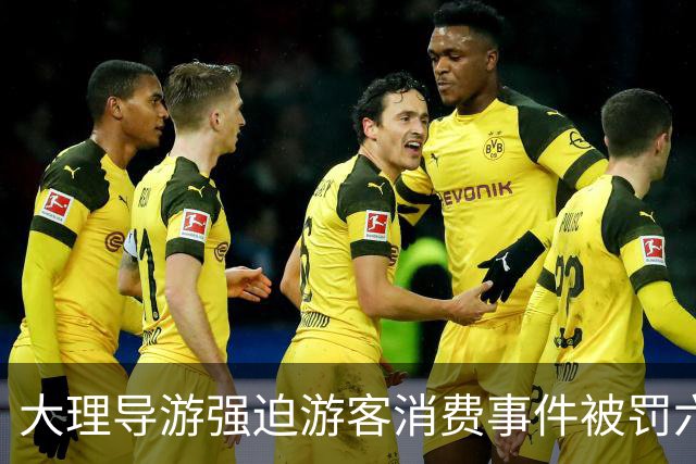 大理导游强迫游客消费事件被罚六千元